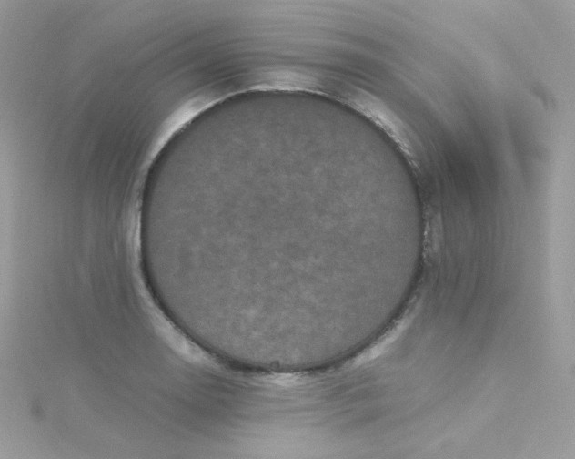 X0000115341130200911231427