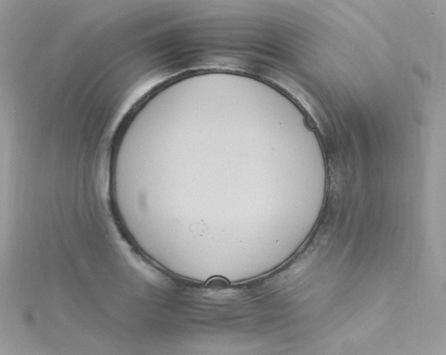 X0000115341131200911231427