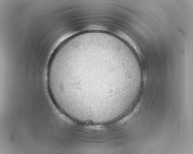 X0000115341133200911231427