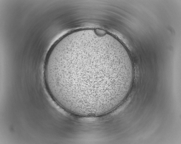 X0000115341134200911231427