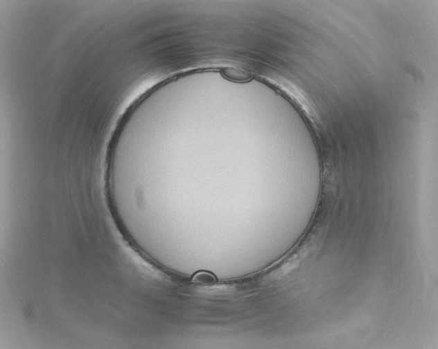 X0000115341135200911231427