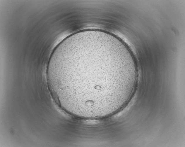 X0000115341137200911231427