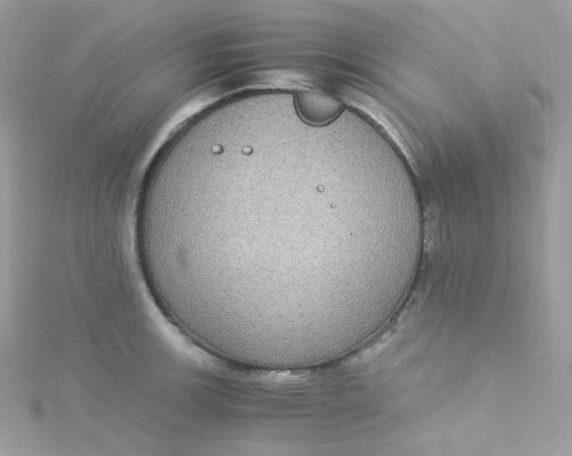 X0000115341139200911231427