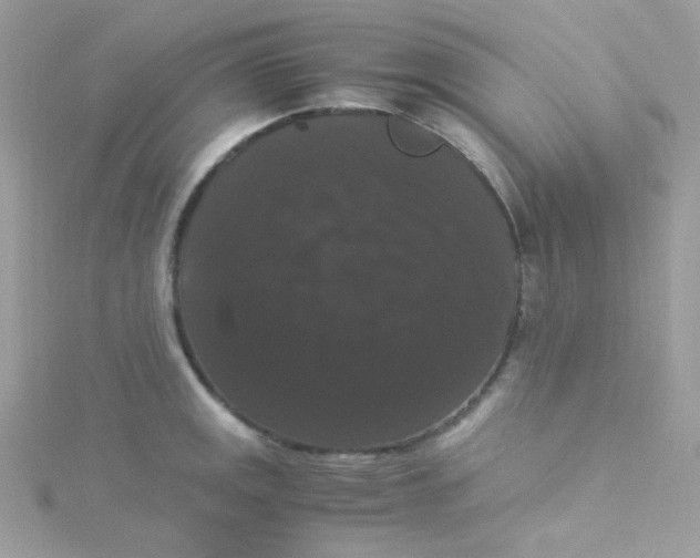 X0000115341141200911231427