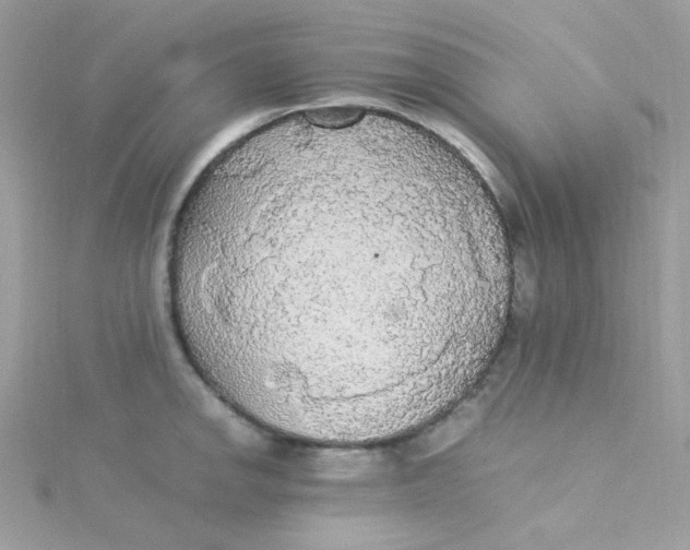 X0000115341142200911231427