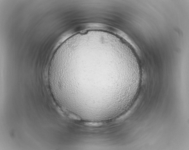 X0000115341145200911231427