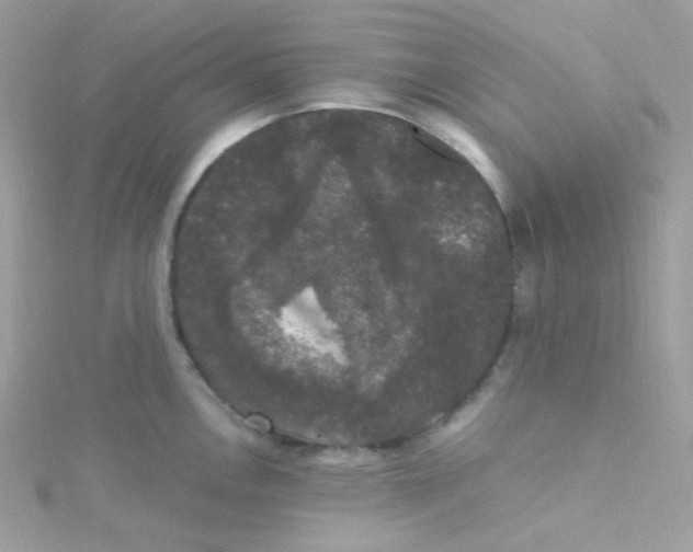 X0000115341146200911231427