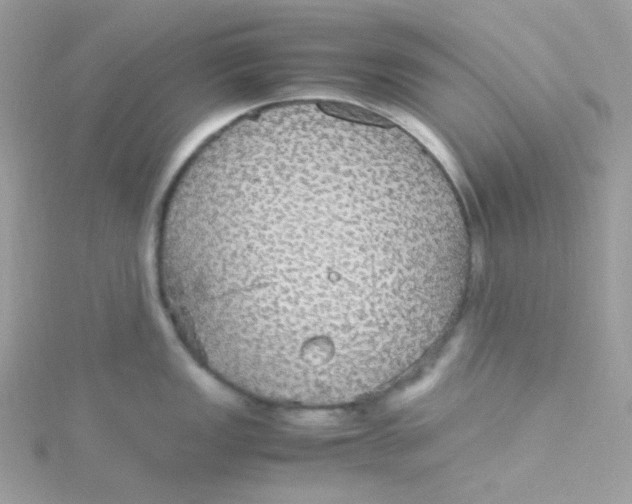 X0000115341149200911231427