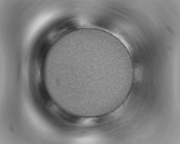 X0000115341150200911231427