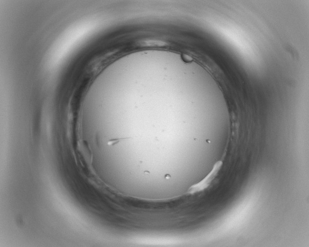 X0000115341151200911231427