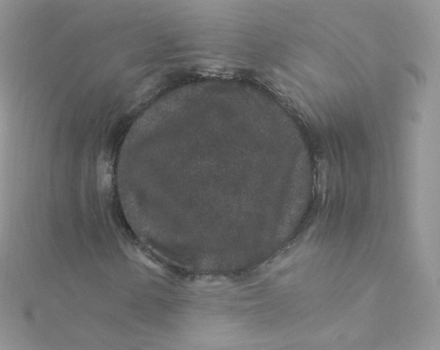 X0000115341154200911231426