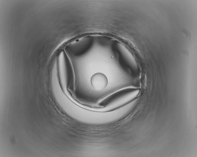 X0000115341165200911231426