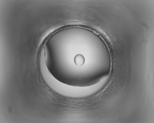 X0000115341167200911231426