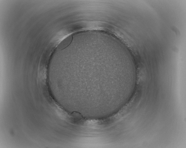 X0000115341169200911231426