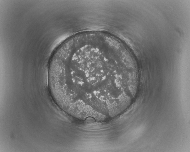 X0000115341171200911231426