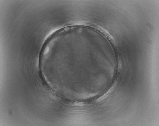 X0000115341174200911231426