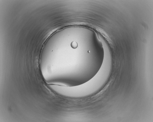 X0000115341177200911231426