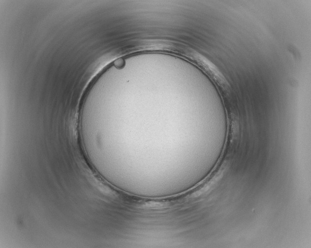 X0000115341178200911231426