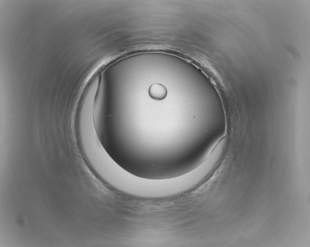 X0000115341181200911231426