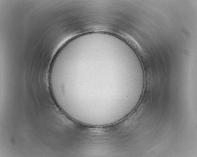 X0000115341182200911231426