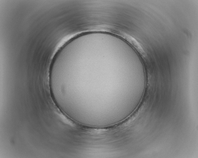 X0000115341184200911231426