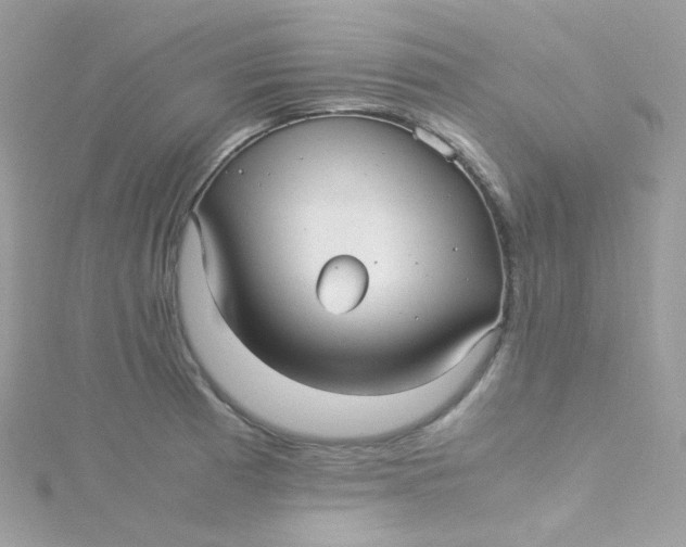 X0000115341185200911231426