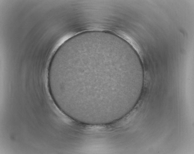 X0000115341187200911231426