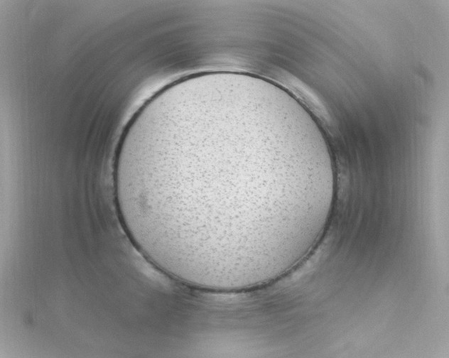 X0000115341192200911231426