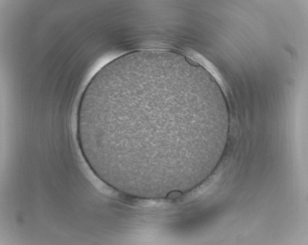 X0000115341195200911231426