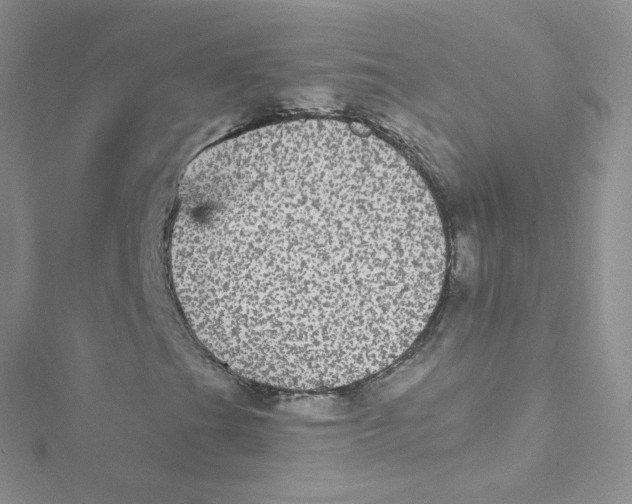 X0000115341201200911231425