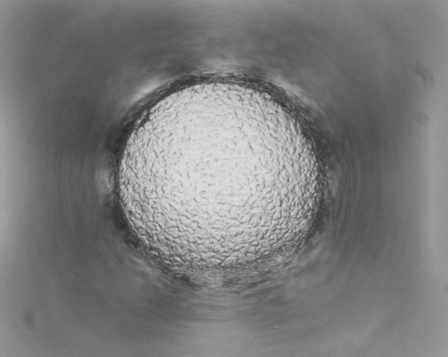 X0000115341206200911231425