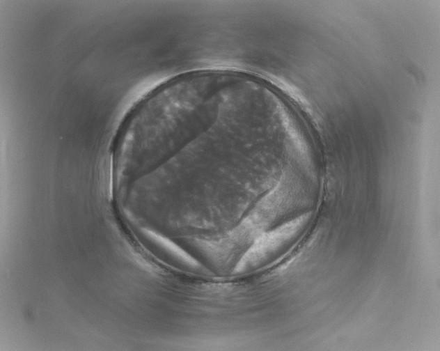 X0000115341223200911231425