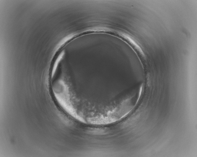X0000115341229200911231425