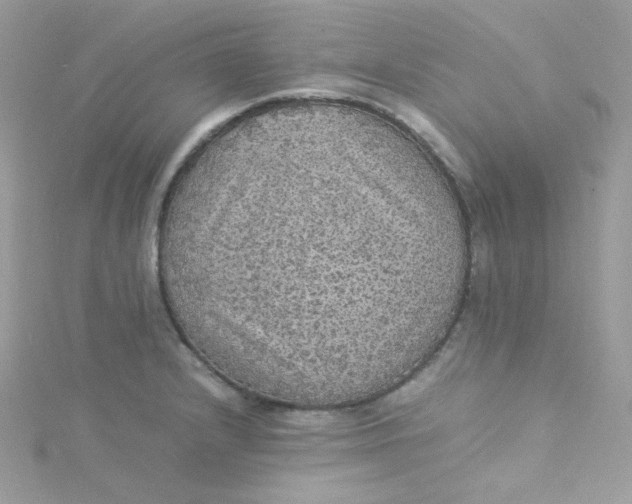 X0000115341232200911231425