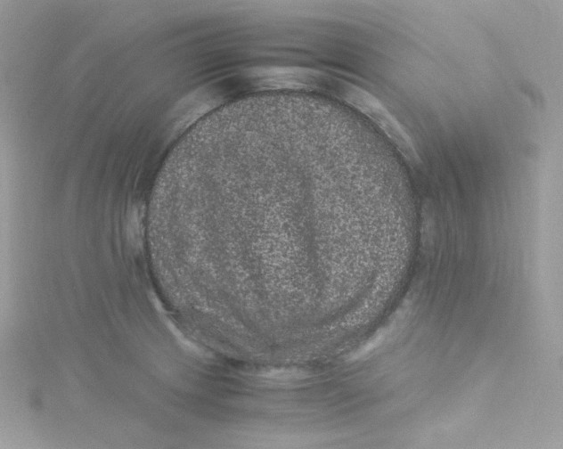 X0000115341233200911231425