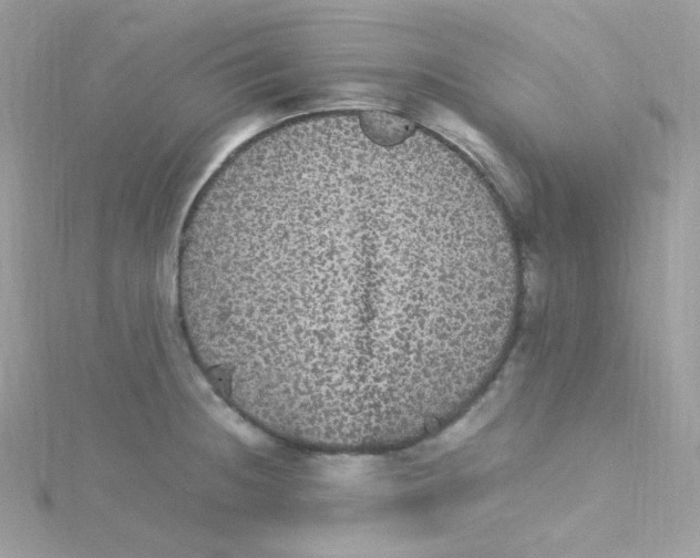 X0000115341236200911231426