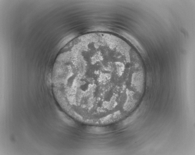 X0000115341241200911231426