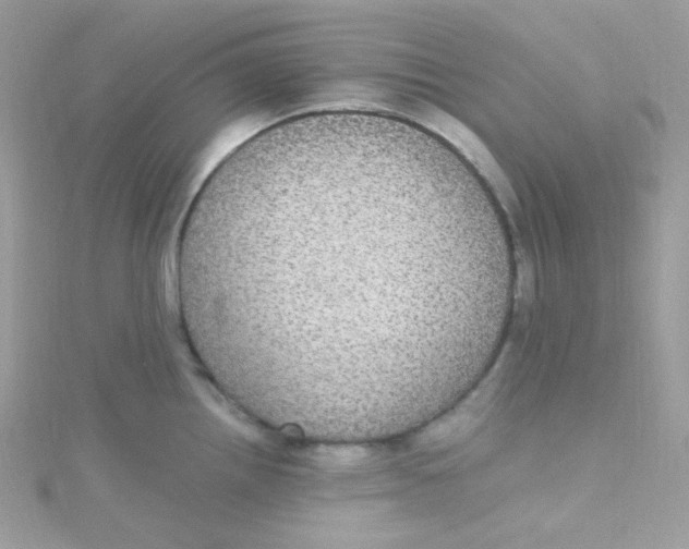 X0000115341242200911231426