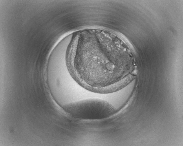 X0000115341244200911231426