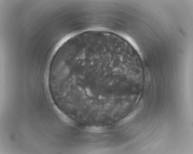 X0000115341245200911231426