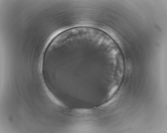 X0000115341246200911231426