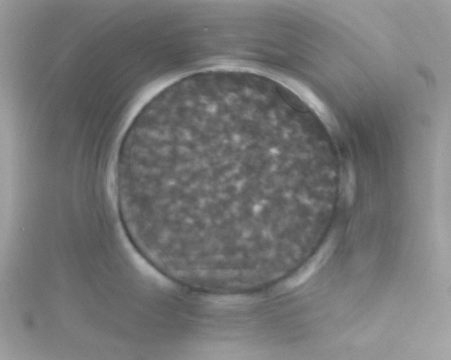 X0000115341247200911231426