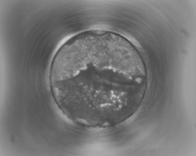 X0000115341248200911231426