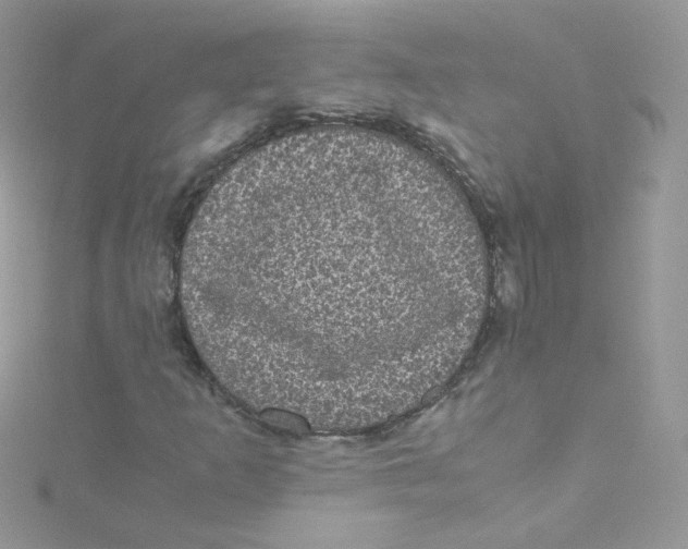 X0000115341253200911231425