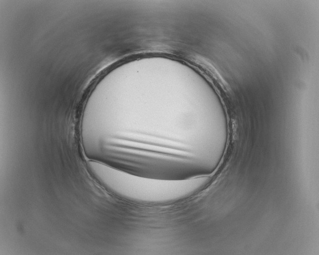 X0000115341260200911231425