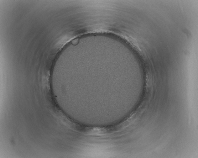 X0000115341265200911231425