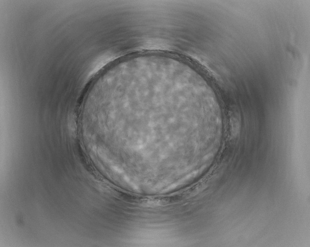 X0000115341266200911231425
