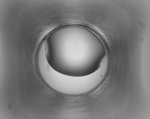 X0000115341269200911231425