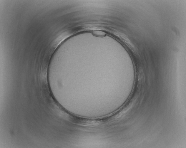 X0000115341273200911231425