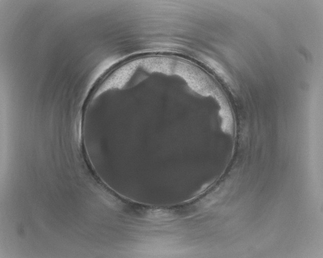 X0000115341275200911231425